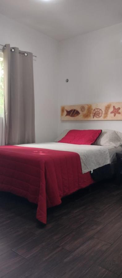 קנקון Estudio Zona Centro Cerca De La Terminal Ado מראה חיצוני תמונה