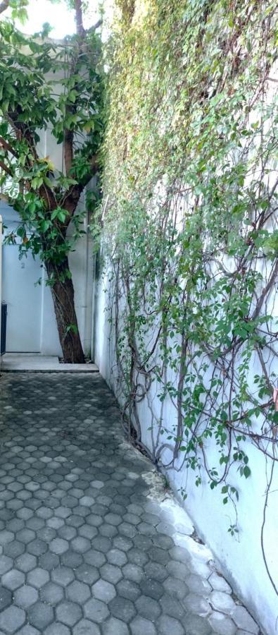 קנקון Estudio Zona Centro Cerca De La Terminal Ado מראה חיצוני תמונה